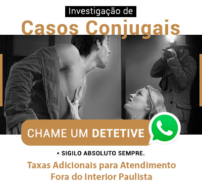 Detetive Particular Investigação